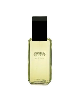 Puig Quorum Silver Eau De Toilette Vaporisateur 100ml