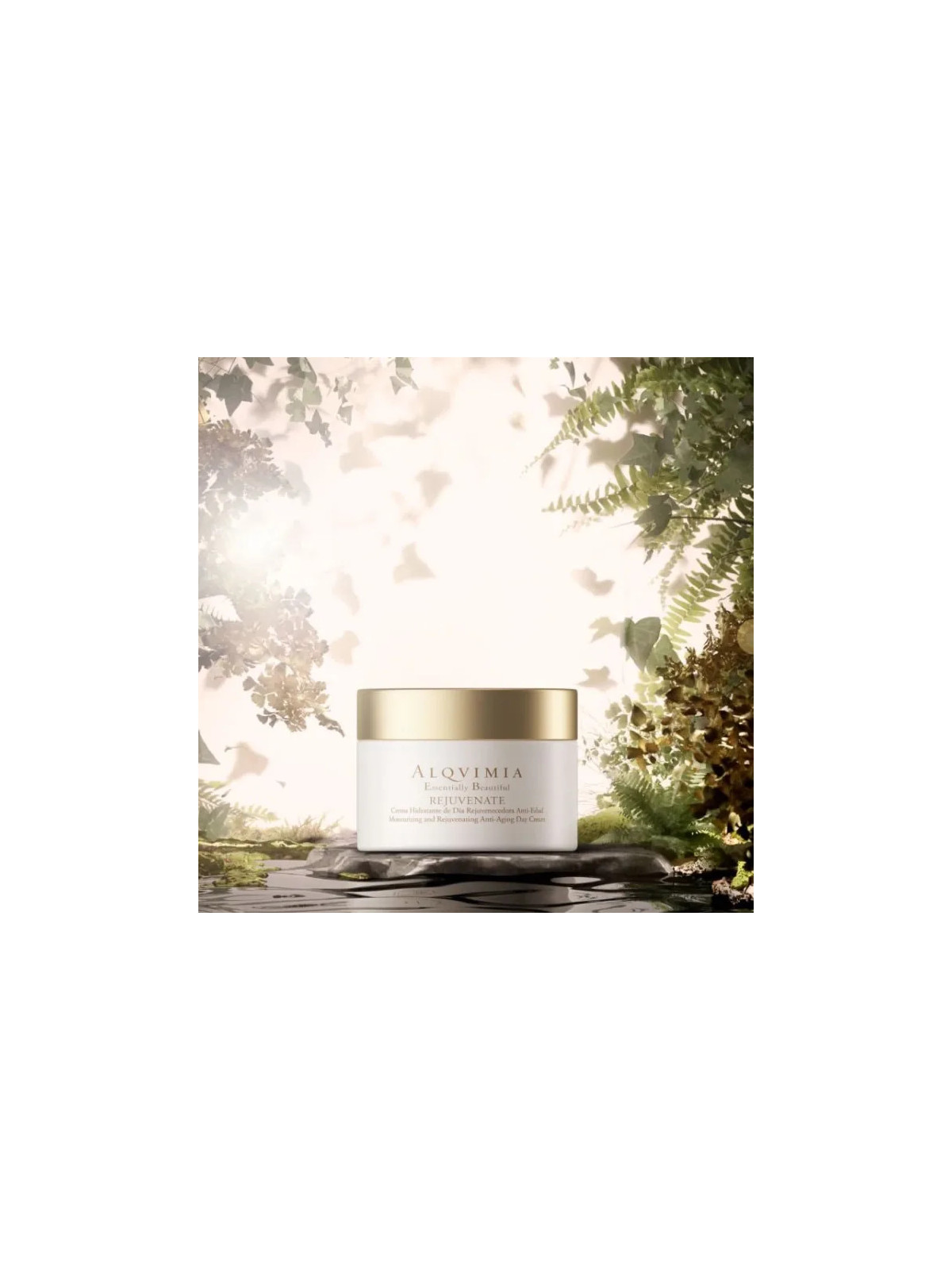 Alqvimia Rejuvenate Crème de Jour Rajeunissante Visage 50ml