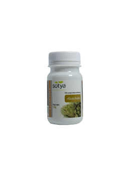 Sotya Artichaut 100 comprimés 500mg