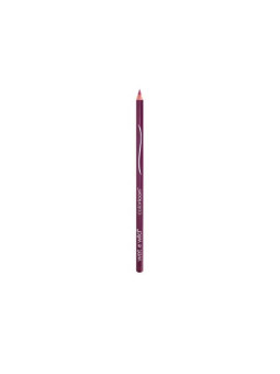Wet N Wild Crayon À Lèvres Color Icon E664C Fab Fuchsia