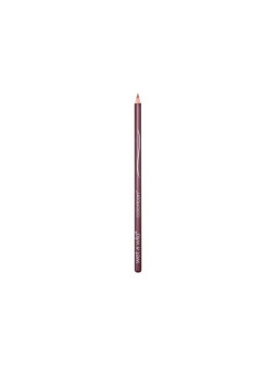 Wet N Wild Color Icon Crayon à Lèvres E666 Brandy Wine