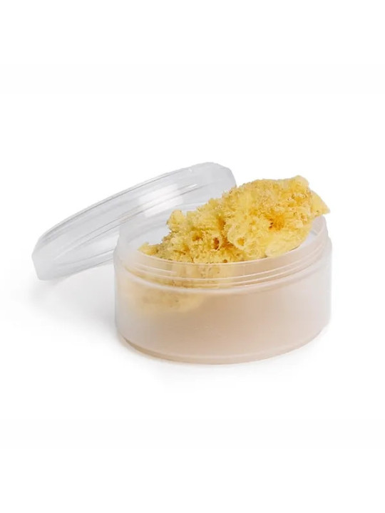 Suavinex Éponge Naturelle Taille Moyenne