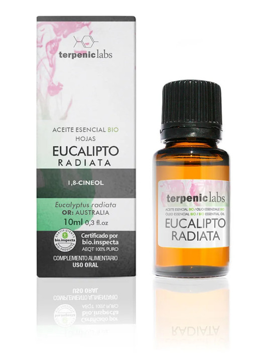 Terpenic Eucalyptus Radiata Huile Essentielle 10ml Bio