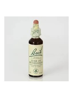 Bach N°29 Star of Bethlehem (Étoile de Bethléem) 20ml