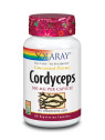 Solaray Cordyceps Extrait 500 mg 60 Capsules