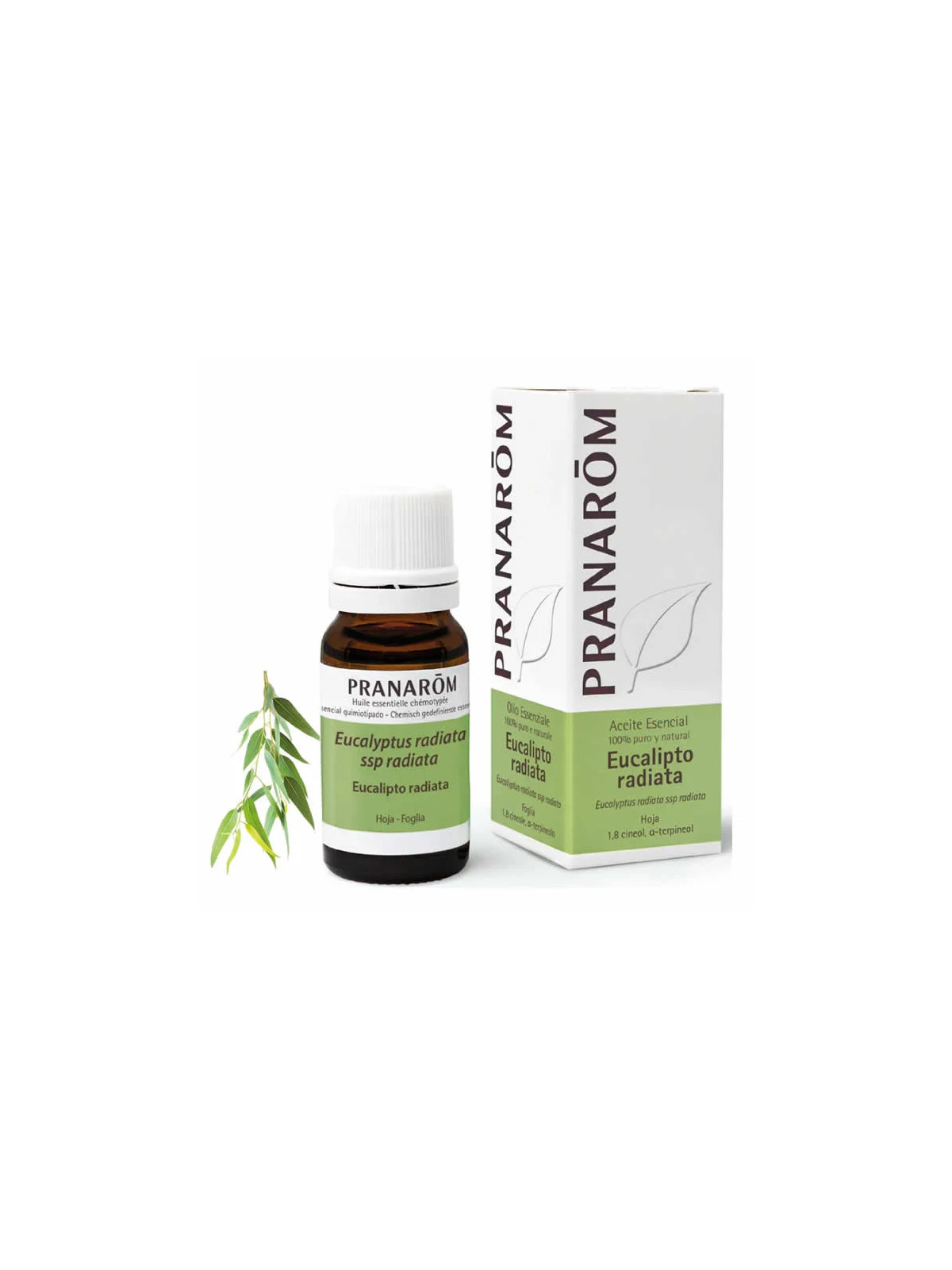 Pranarôm Eucalyptus Radié (Eucalyptus radiata) Huile Essentielle 10ml