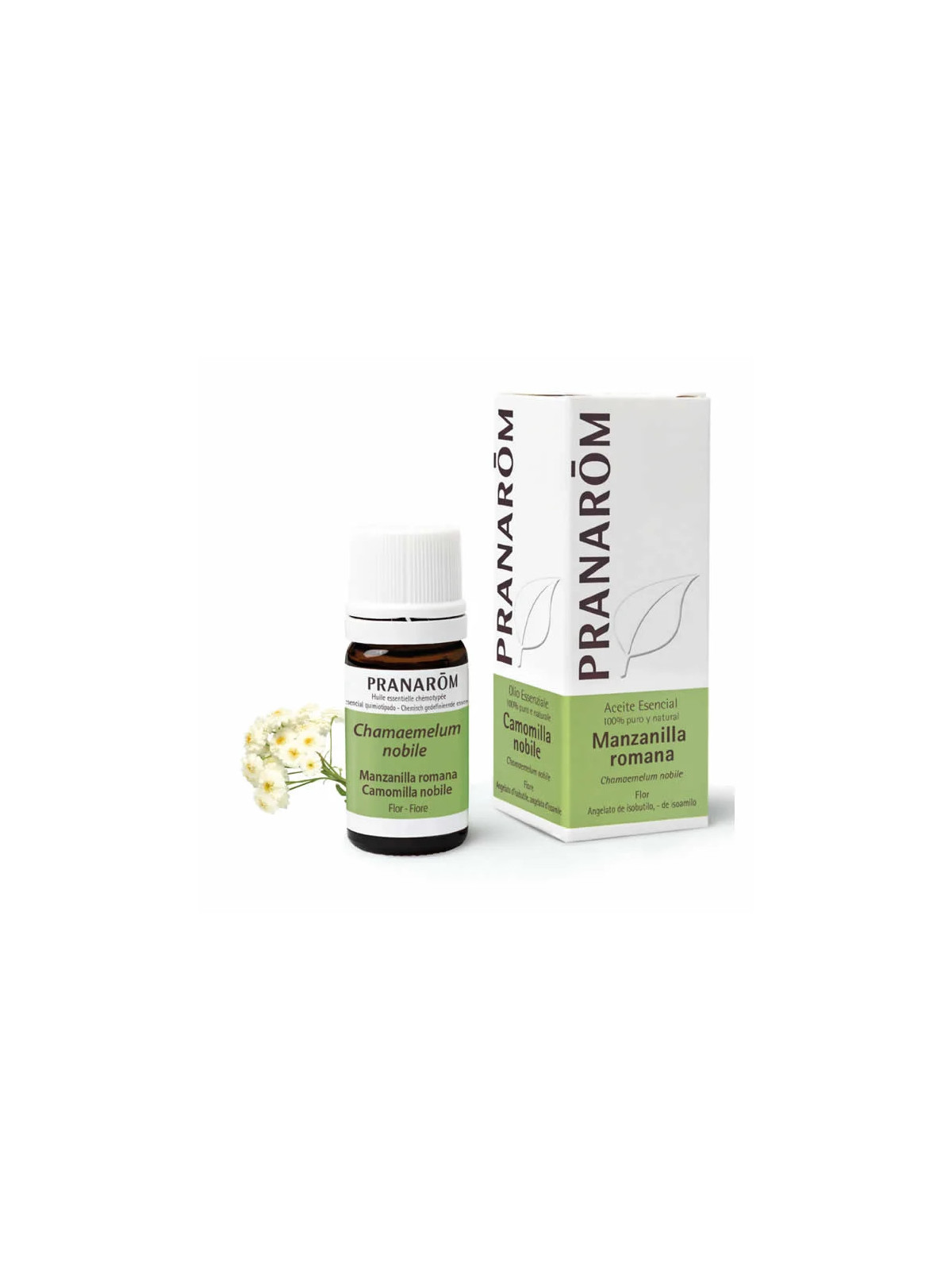 Pranarôm Camomille Noble (Chamaemelum nobile) Huile Essentielle 5ml