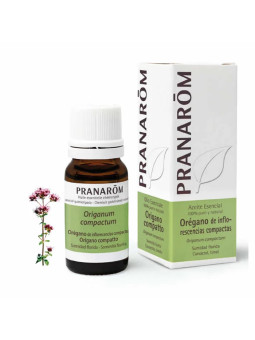 Pranarôm Origan Compact (Origanum compactum) Huile Essentielle 10ml