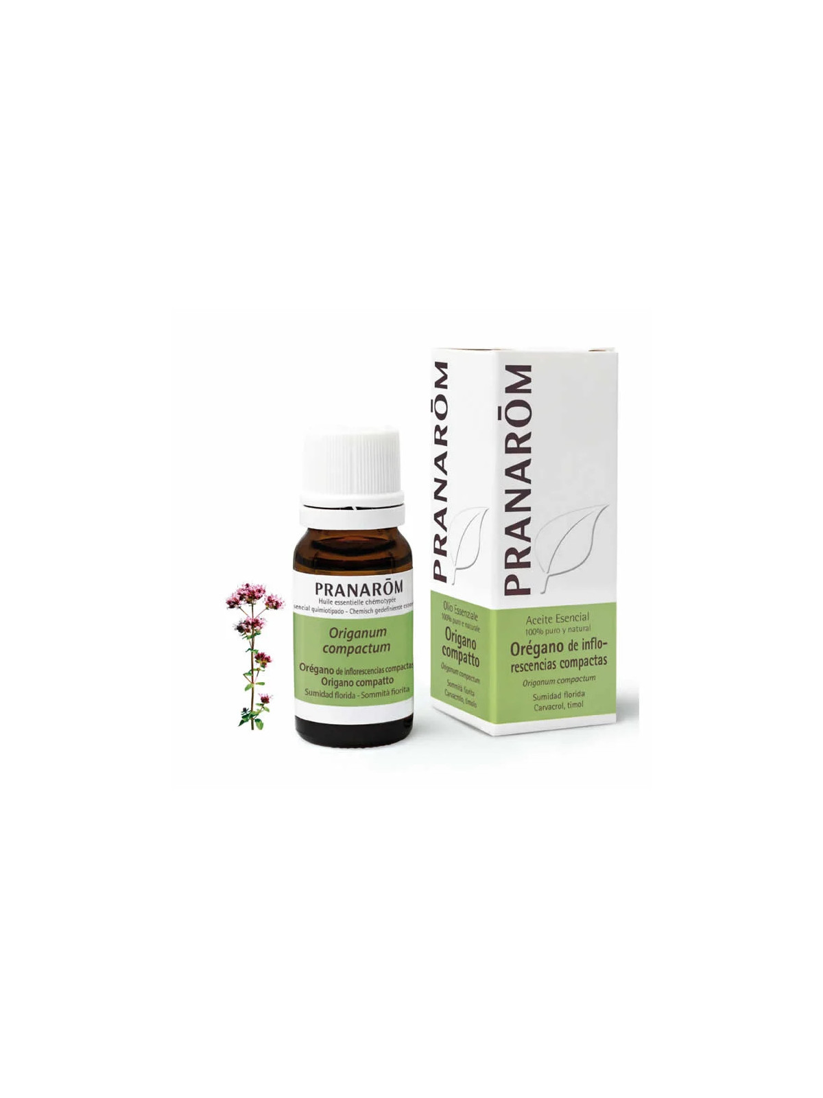 Pranarôm Origan Compact (Origanum compactum) Huile Essentielle 10ml