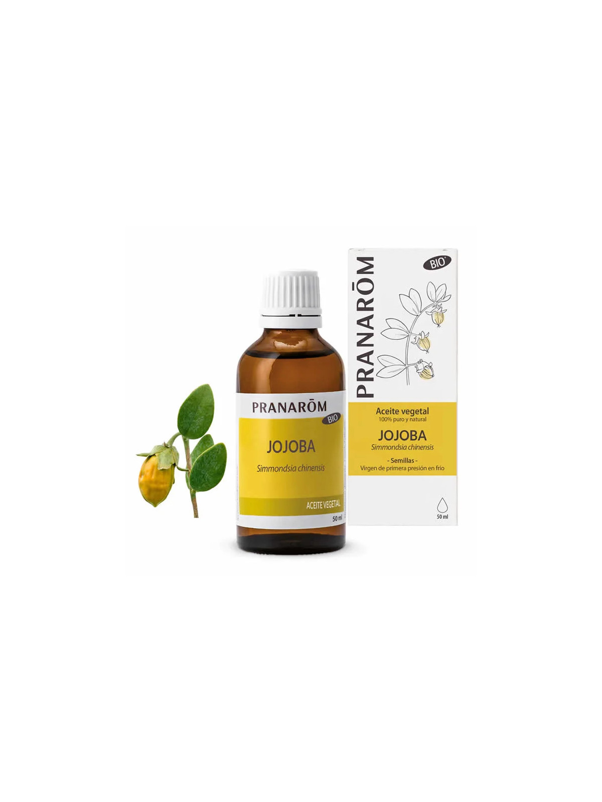 Pranarôm Jojoba (Simmondsia chinensis) Huile Végétale Bio 50ml