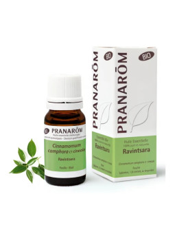 Pranarôm Huile Essentielle Ravintsara 10ml