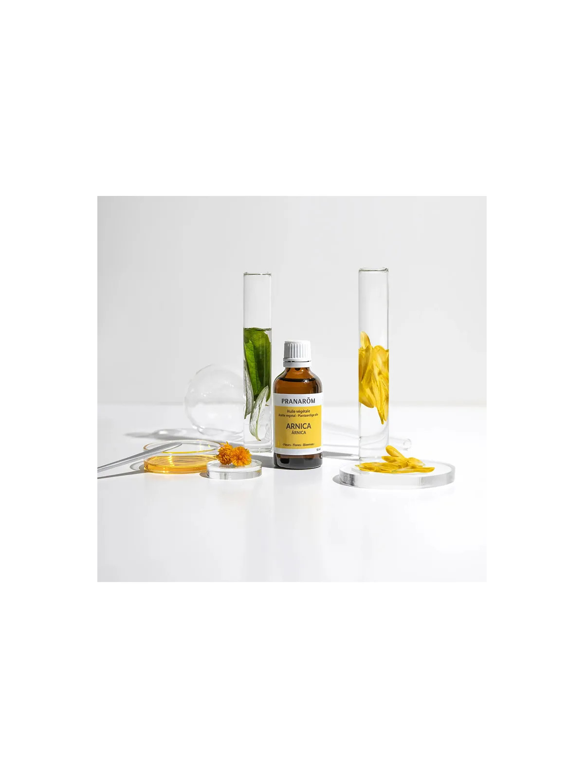 Pranarôm Huile Végétale d'Arnica Bio 50ml