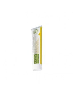 Cattier Paris Dentifrice Dentargile Citron 75ml