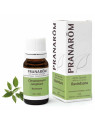 Pranarôm Huile Essentielle de Ravintsara 10ml