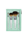 EcoTools On The Go Style Set 5 Pièces