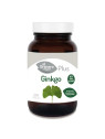 GRANERO S Ginkgo Biloba 510mg 250 Gélules