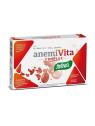 Santiveri Anemivita Complex Fer 40 Gélules