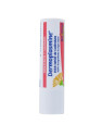 Boiron Dermoplasmine Calendula Stick Lèvres 4g